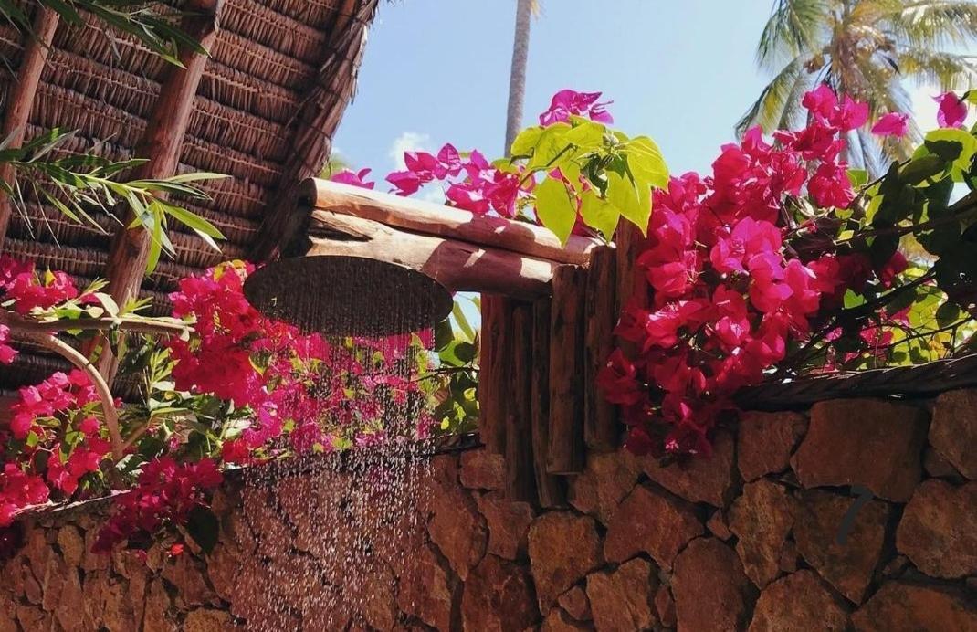 Belvedere Resort Jambiani  Dış mekan fotoğraf